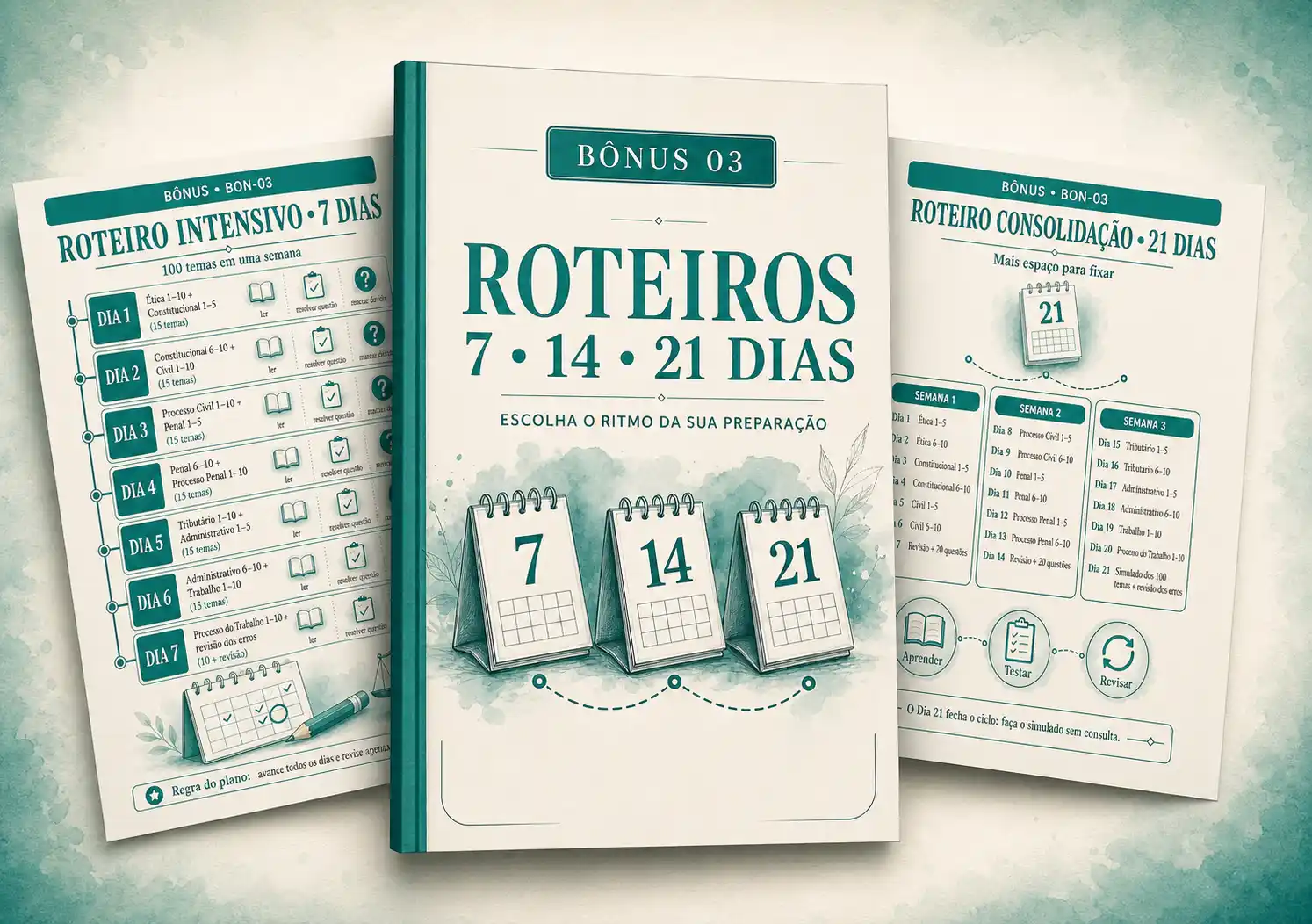 Bônus 3: Roteiro de Reta Final de 7, 14 e 21 dias